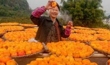 金秋十月，瓜果飘香