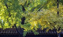 心怀善念岁月静好