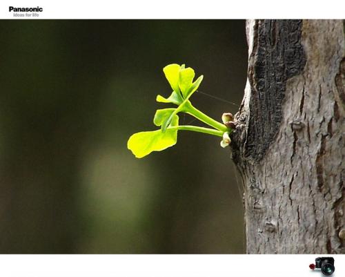 使我温暖的味道