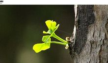 令我温暖的味道