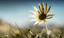 您的无声给我力量