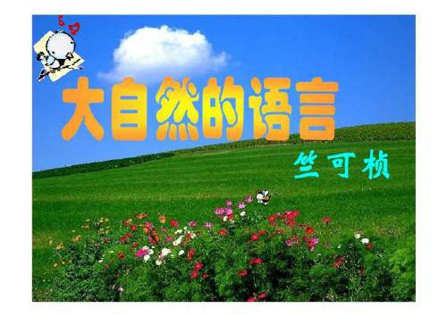 大自然的语言