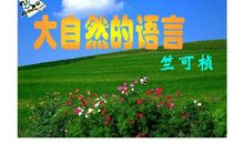 大自然的语言