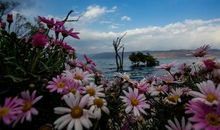 在路上遇到的一件事