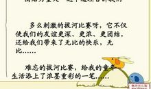 难忘的一次拔河比赛