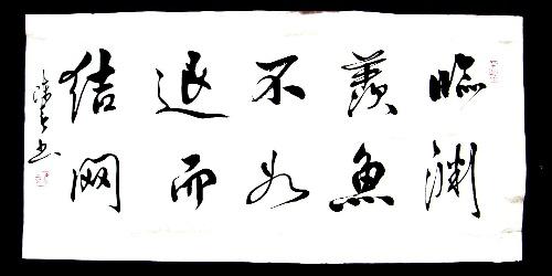 亲元仙鱼，为退网
