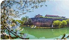 春到校园惹人醉