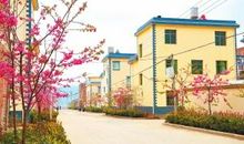 和谐美好的家园