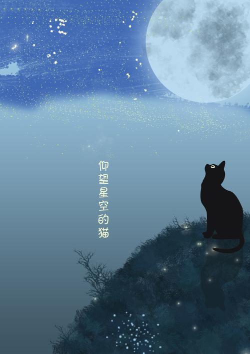 仰望天空
