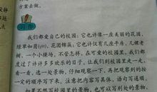 以雪景为题的作文