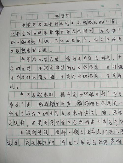看主题的构图
