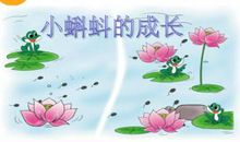 小蝌蚪成长记