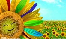 我学会了微笑去面对