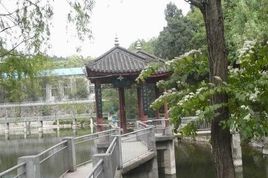 学校植物园