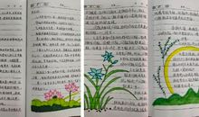 报刊伴我成长作文