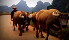 藏在心中的记忆