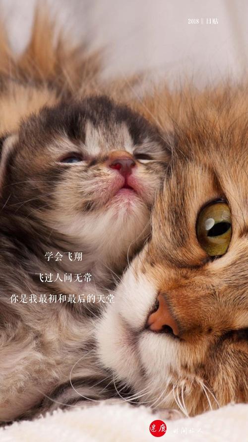学习飞行