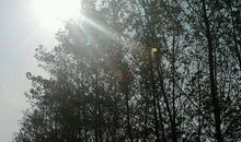 阳光洒进我的心