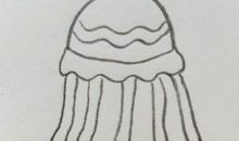 我学会了画水母