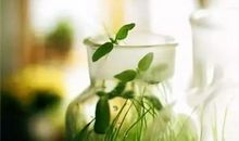 人无完人，事无绝对