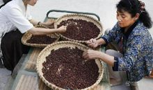 熬进中药的母爱