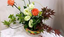 感恩时光花正香