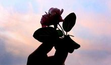 心之所向，路之所向