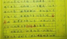 最喜欢的小动物300字作文