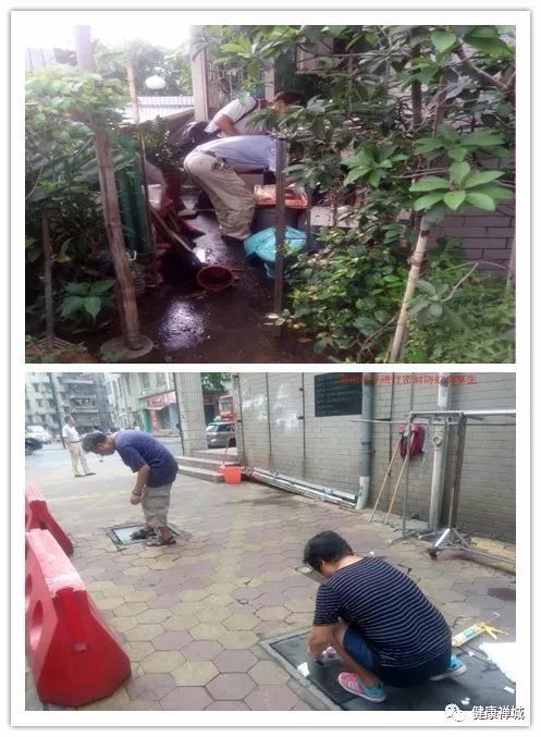 灭蚊计划