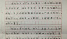 给环保局局长的一封信