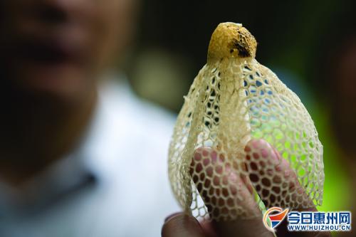春天到林场