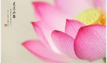 一朵属于自己的花