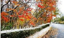 这个冬天有点冷