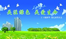 我们难忘的植树节