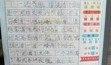 那才是我家的珍宝作文