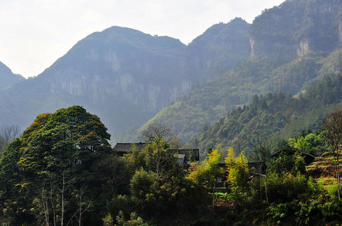 美丽的乡村