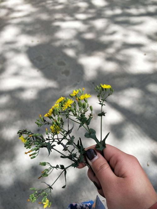 我爱你大自然