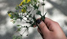 我爱你，大自然