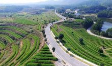 一个可以安心的地方