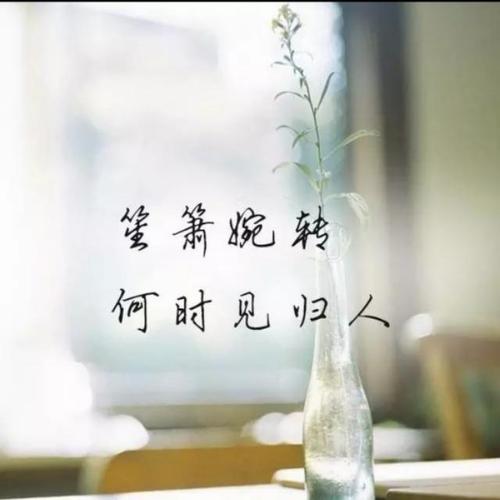 我的比赛与“着陆点”