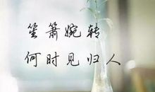 我与“落地生根”的较量