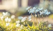 生命中不能没有你