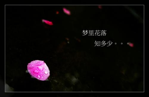 你梦中知道多少_700个单词