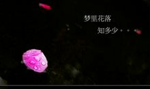 梦里花落知多少_700字