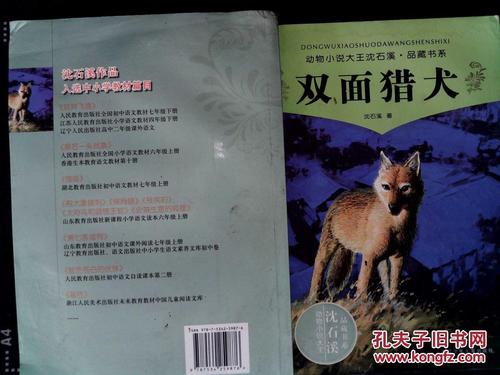 关于“双面猎犬”的思考
