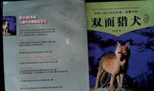 《双面猎犬》读后感