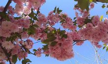 我美丽因为我快乐