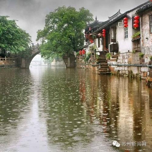 雨中印象