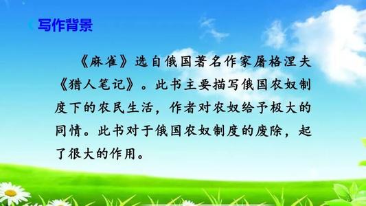 麻雀继续写四年级