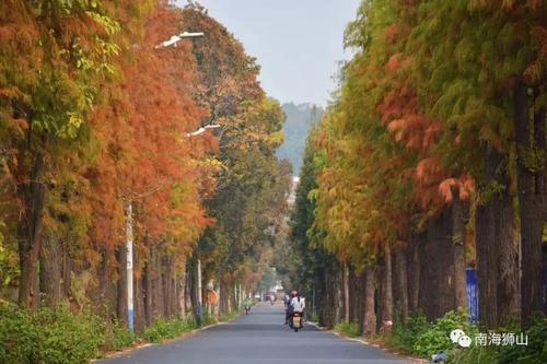初秋的顺风山公园